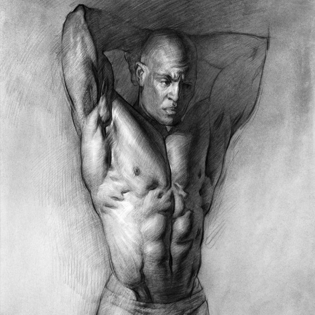 Anatomy for Artists