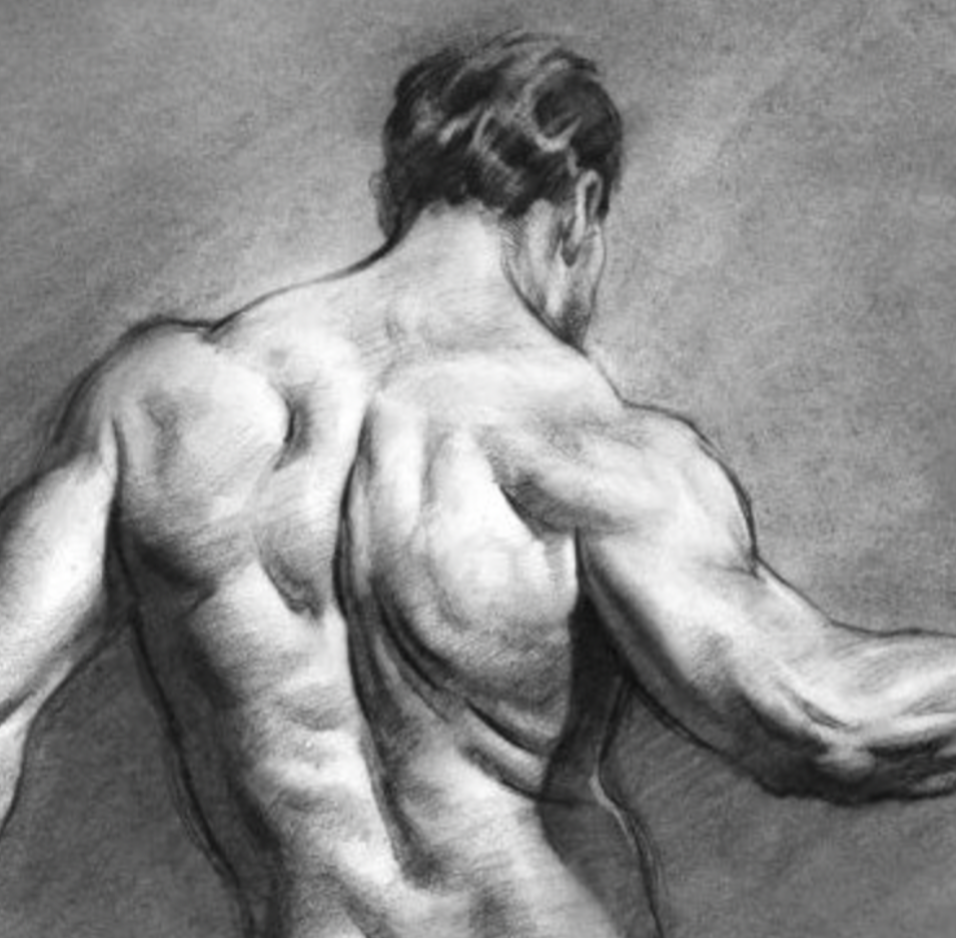 Figure Drawing Fundamentals